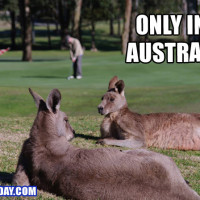 Funny-Only-In-Pictures-Australia 
