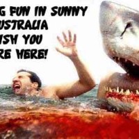 having_fun_in_sunny_australia 