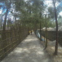 Surfing Zambales 