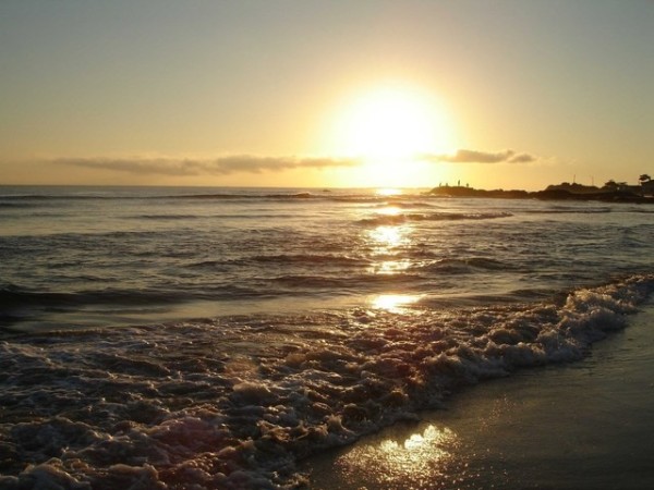 beach-1367215-640×480