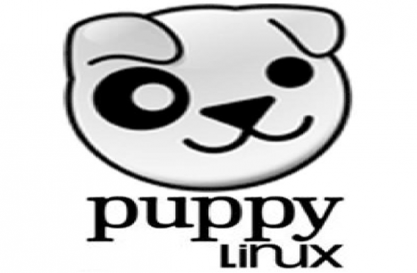 puppy