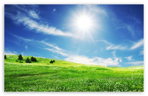 summer_day-t2